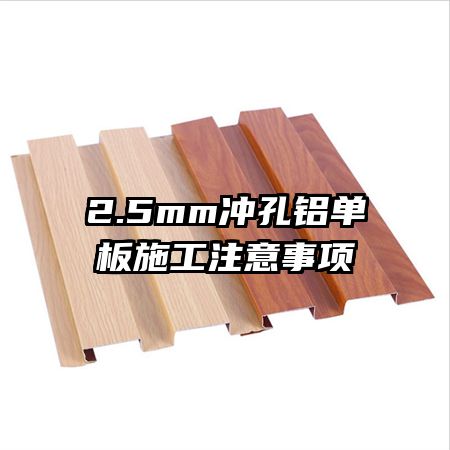 2.5mm���������ʩ��ע������