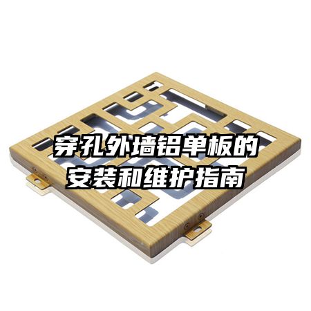 ������ǽ������İ�װ��ά��ָ��