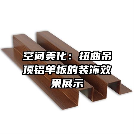 �ռ�������Ť�������������װ��Ч��չʾ