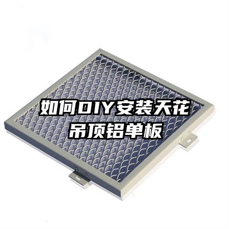 ���DIY��װ�컨����������