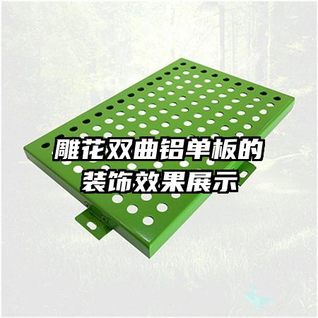 ��˫���������װ��Ч��չʾ