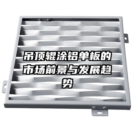 ������Ϳ��������г�ǰ���뷢չ����