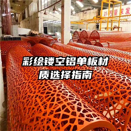 �ʻ��ο����������ѡ��ָ��