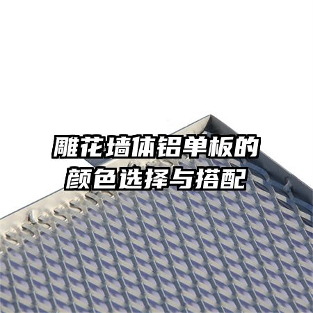 ��ǽ�����������ɫѡ�������