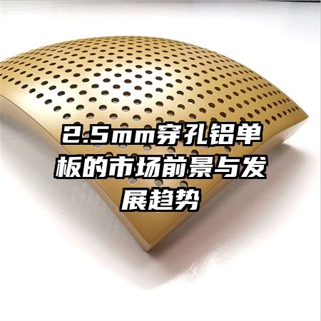 2.5mm������������г�ǰ���뷢չ����