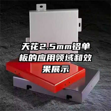 �컨2.5mm�������Ӧ�������Ч��չʾ