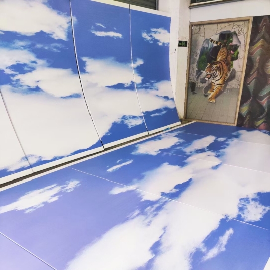 �ʻ���ǽ������